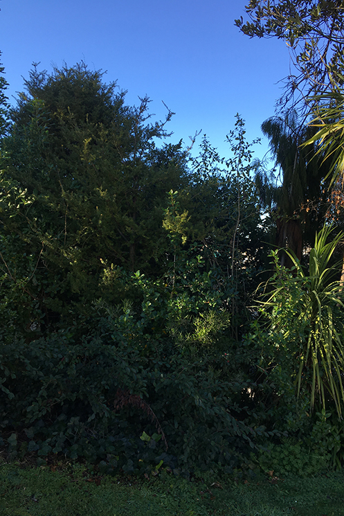 installation image from Te Whare Tapa Wha at Waikato Museum, Hamilton